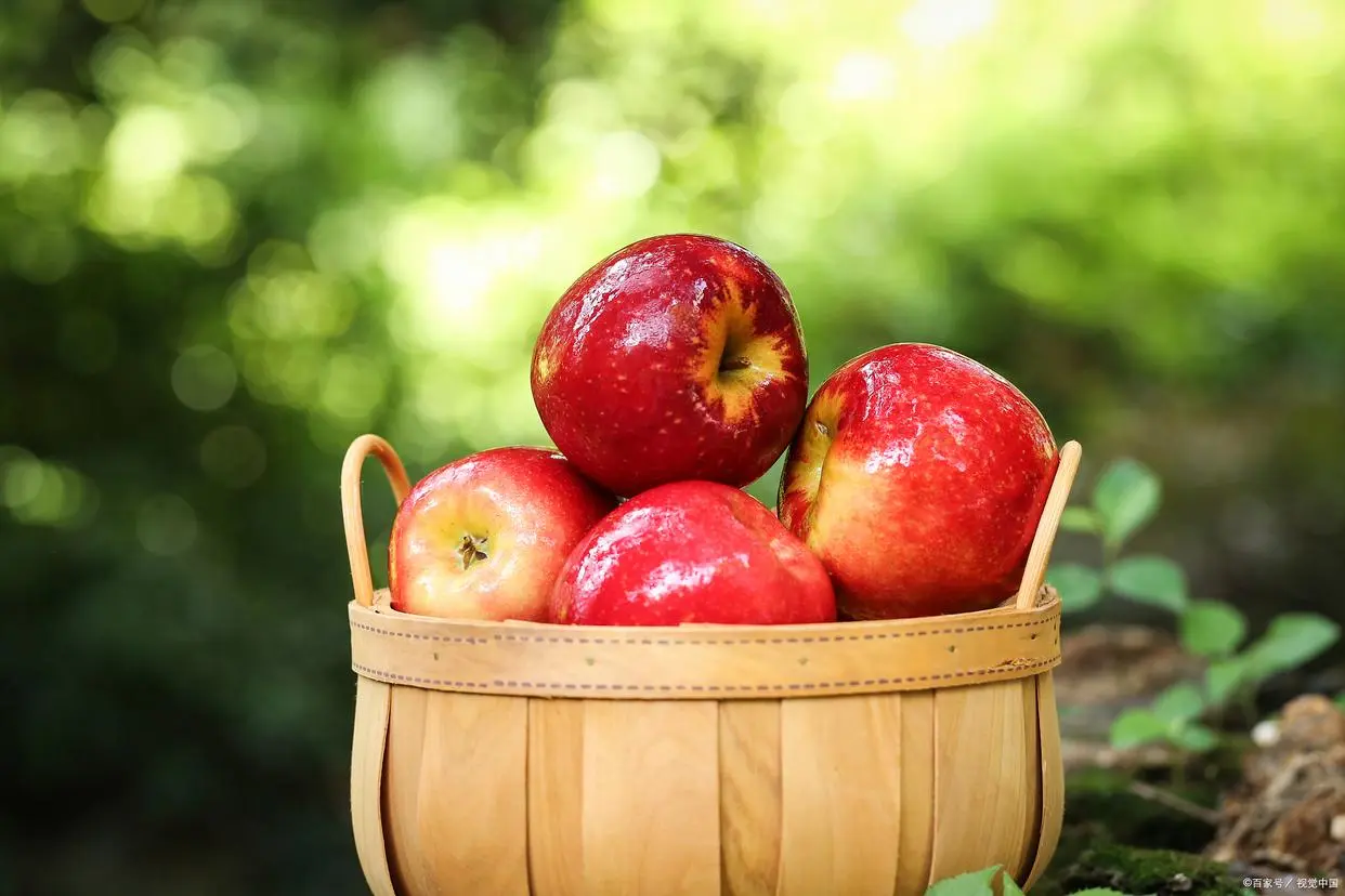 ¿Puede el ultrasonido extraer aceite comestible de las plantas?